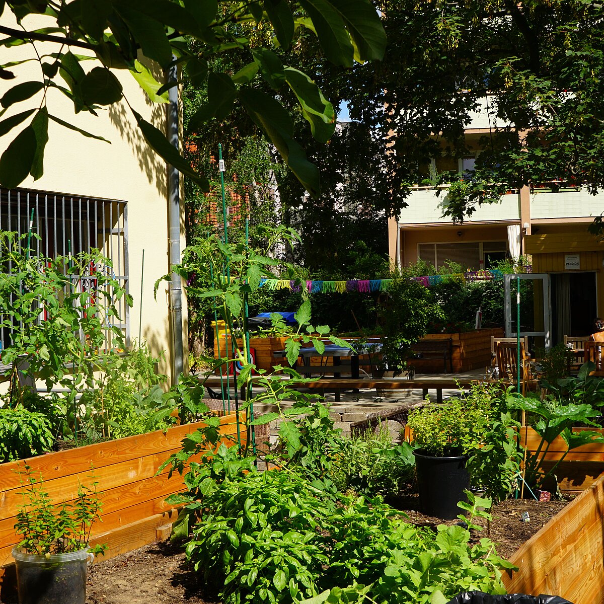 MGH Garten