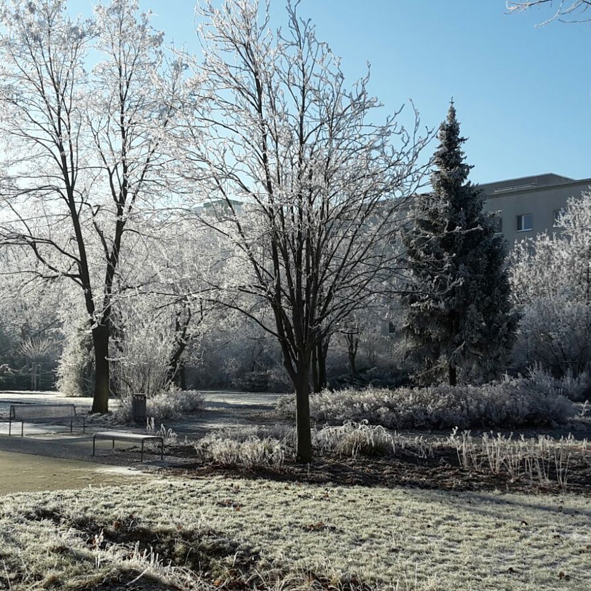 Wintergarten MGH