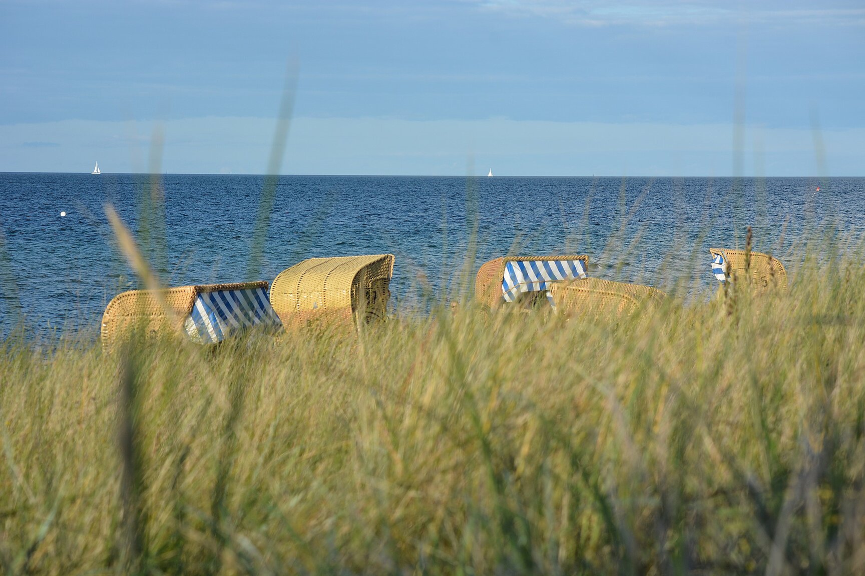 Dünen im Vordergrund, im Hintergrund einige Strandkörbe und das blaue Meer.