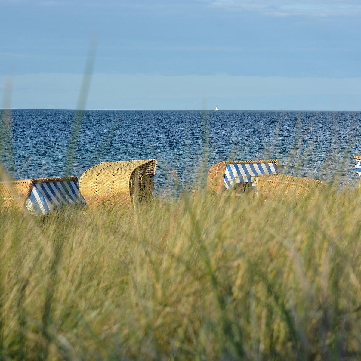 Dünen im Vordergrund, im Hintergrund einige Strandkörbe und das blaue Meer.