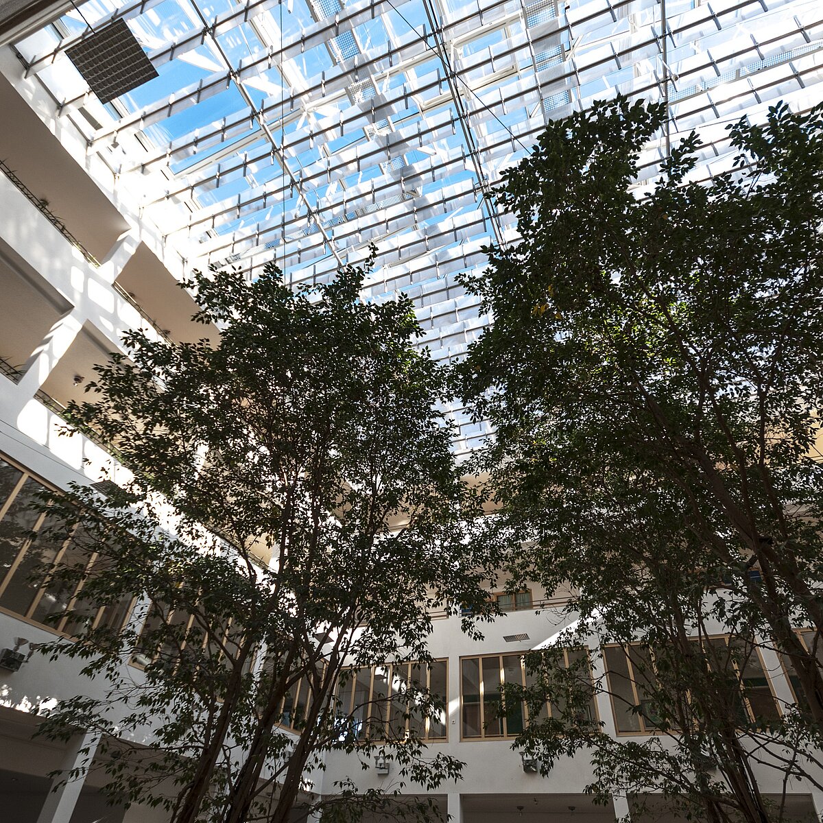 Das Foyer des Mehrgenerationenhauses!