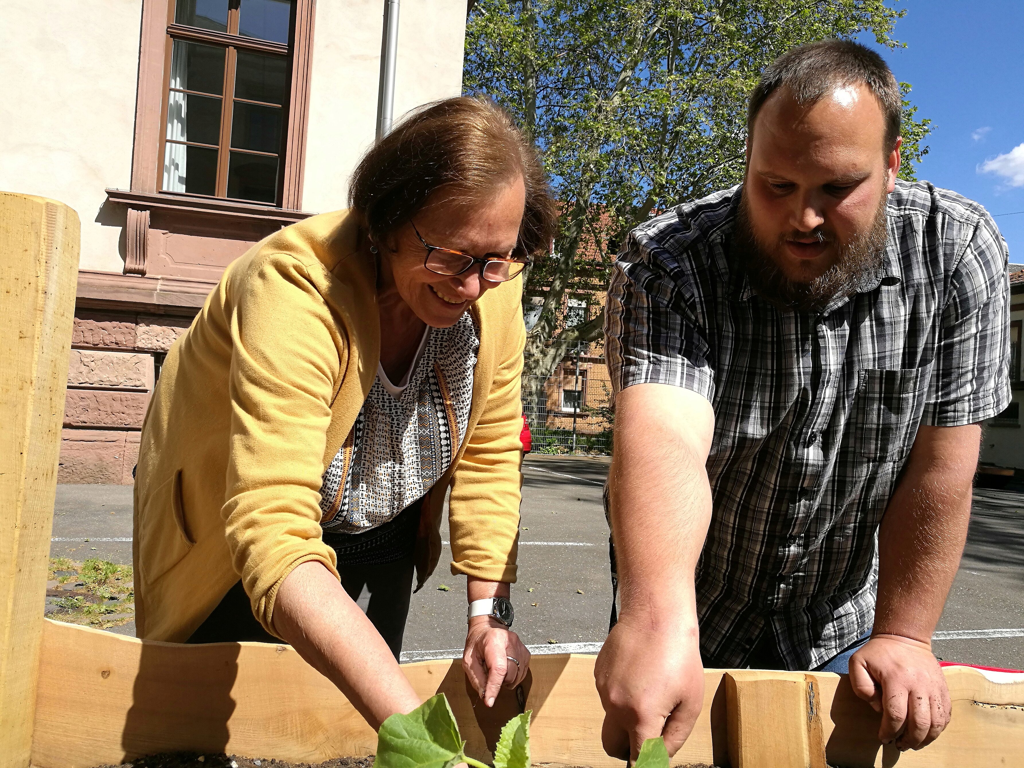 Urban gardening