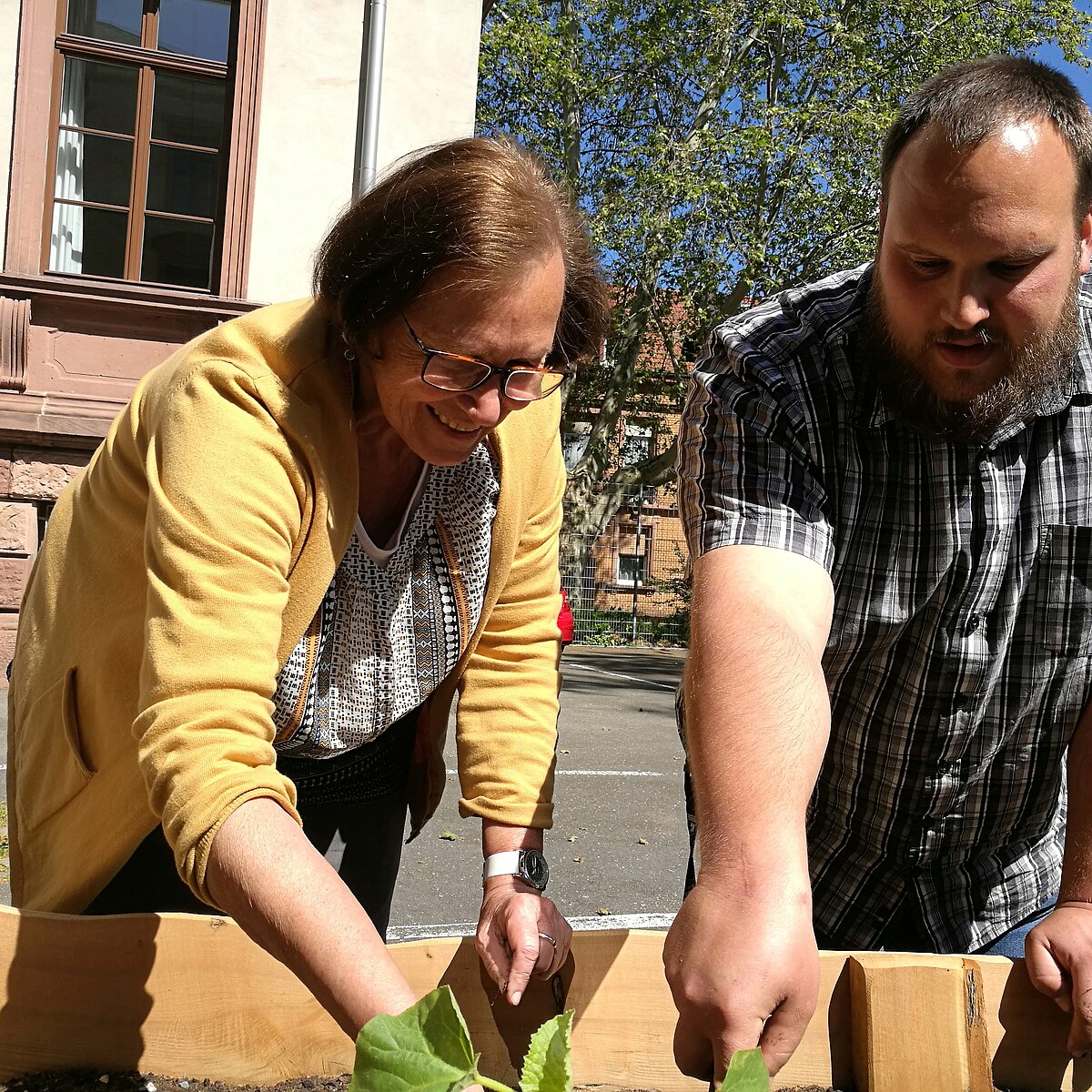 Urban gardening